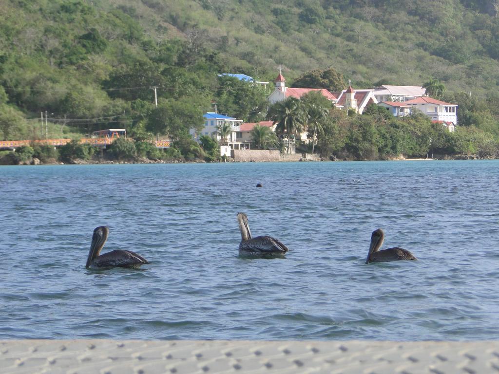 Posada Sunshine Paradise Providencia Island Екстериор снимка