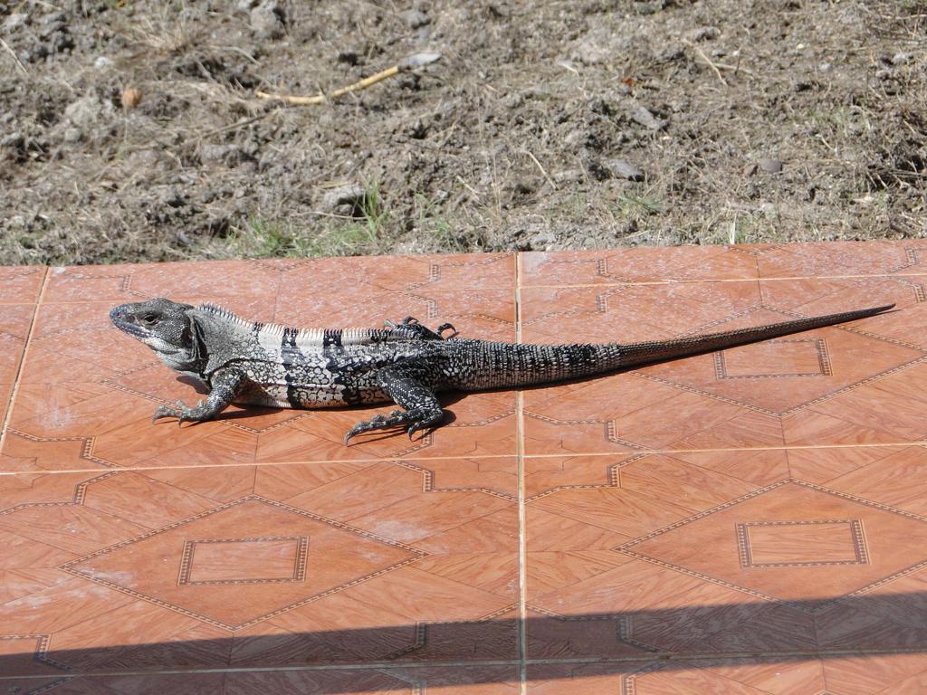 Posada Sunshine Paradise Providencia Island Екстериор снимка