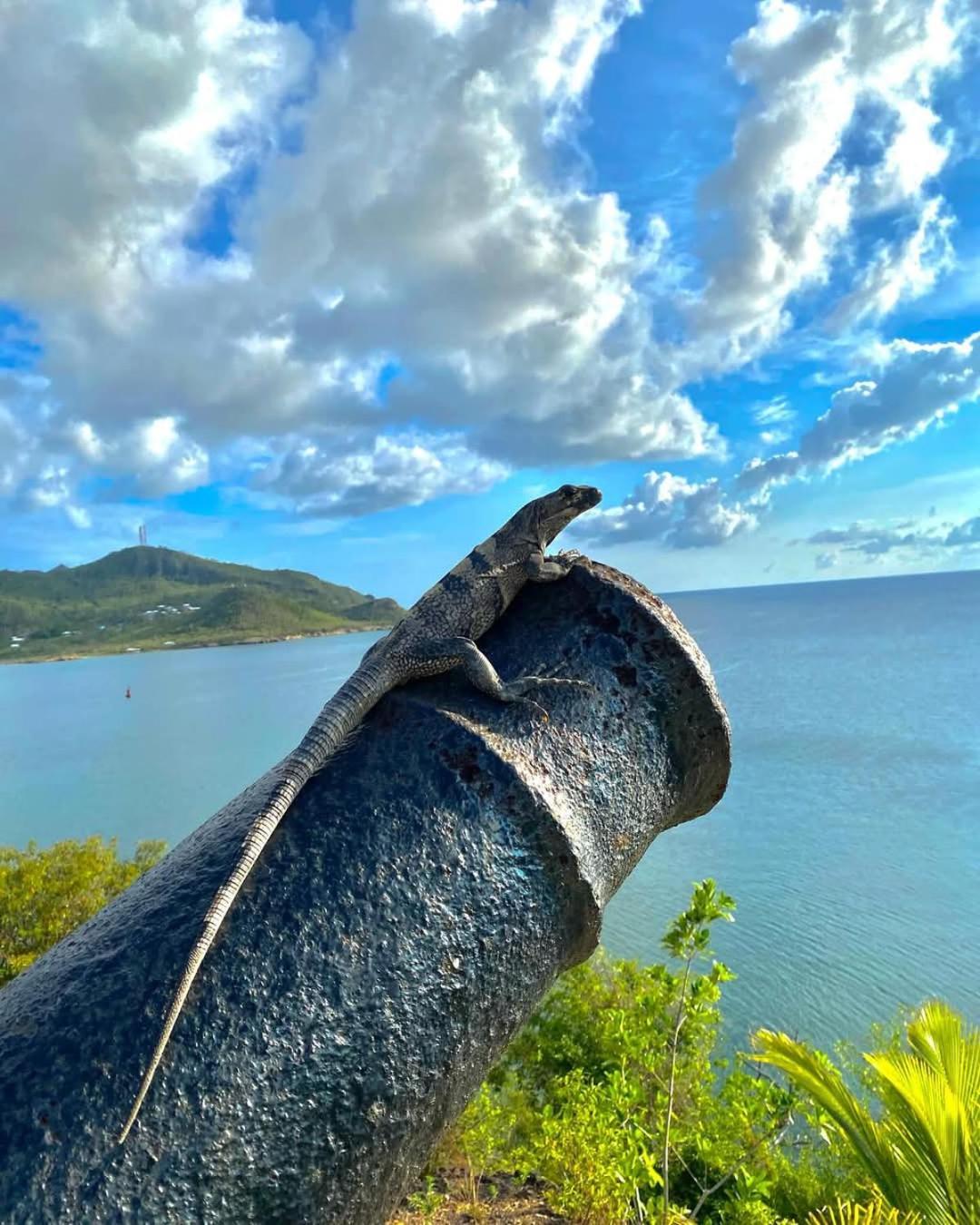 Posada Sunshine Paradise Providencia Island Екстериор снимка
