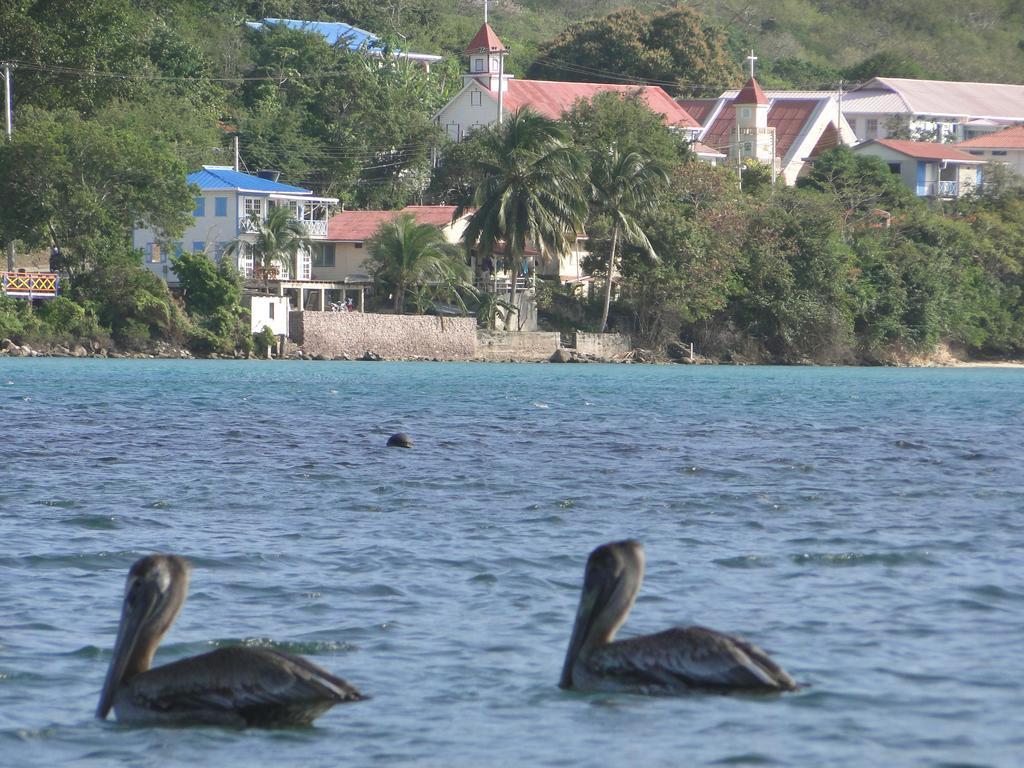 Posada Sunshine Paradise Providencia Island Екстериор снимка