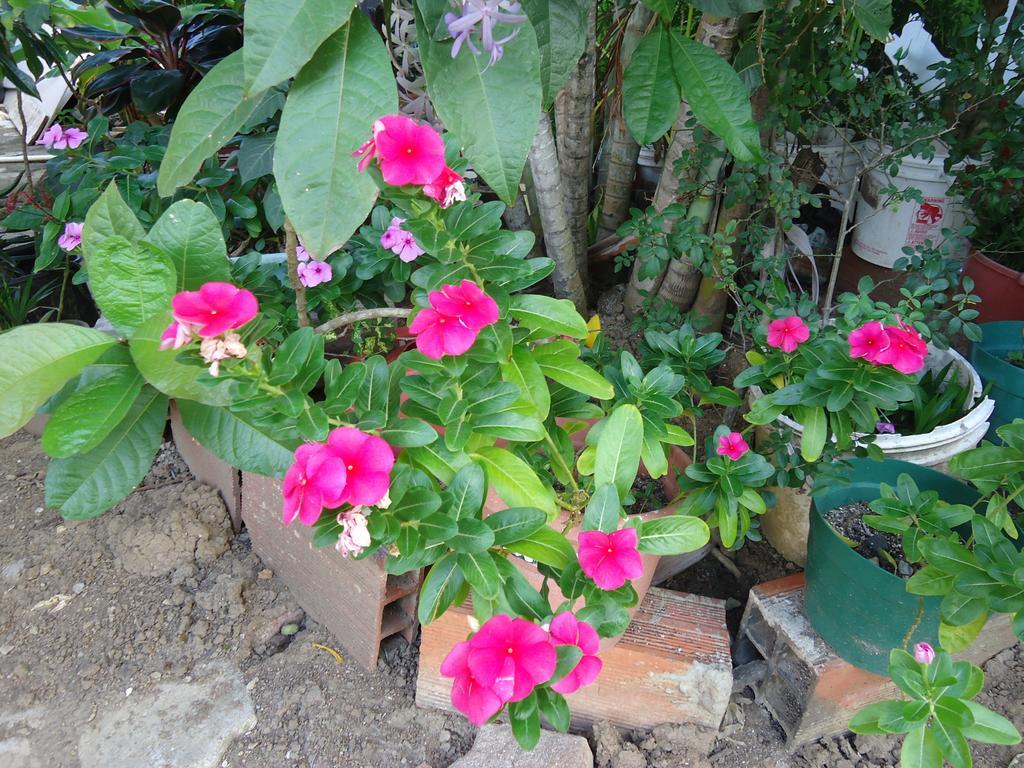 Posada Sunshine Paradise Providencia Island Екстериор снимка