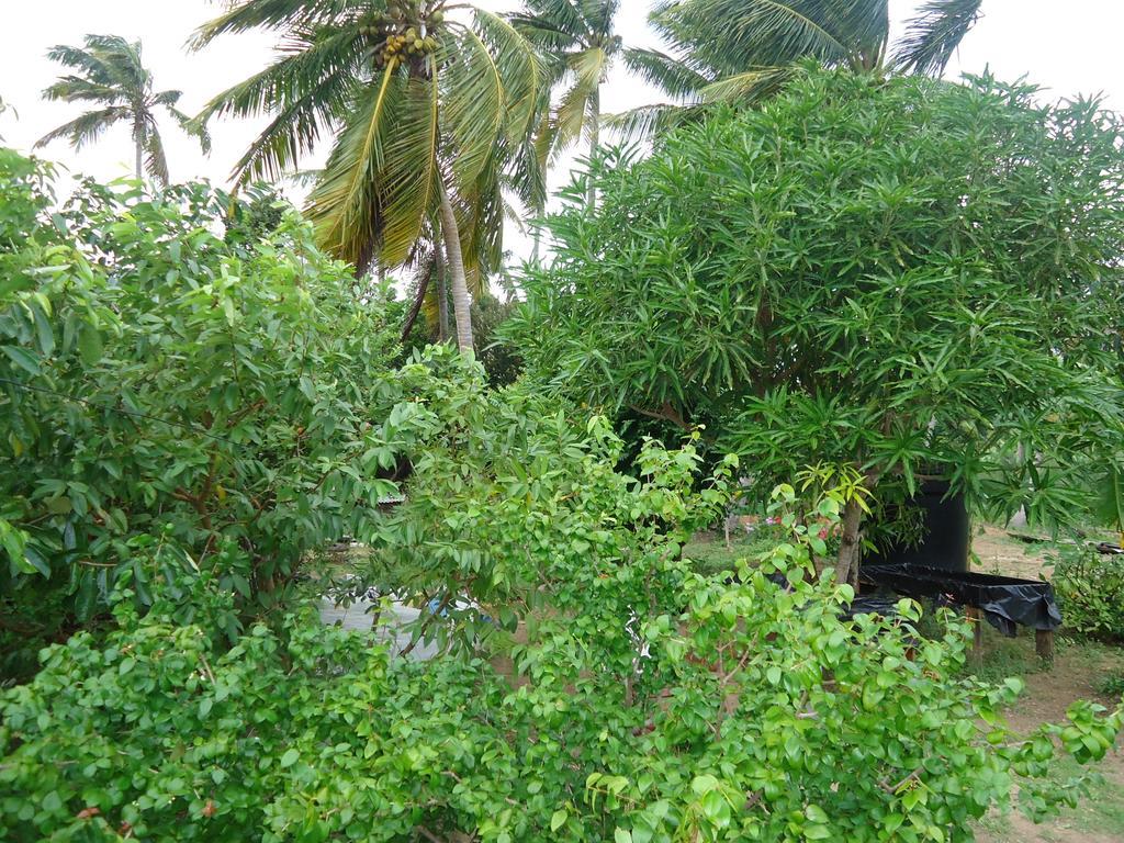 Posada Sunshine Paradise Providencia Island Екстериор снимка
