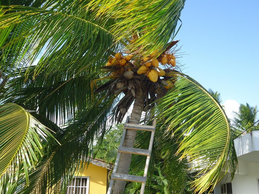 Posada Sunshine Paradise Providencia Island Екстериор снимка